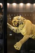 manchester museum 9-2023 8821